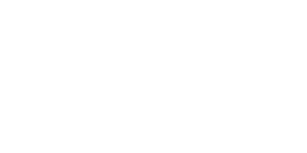 Merit